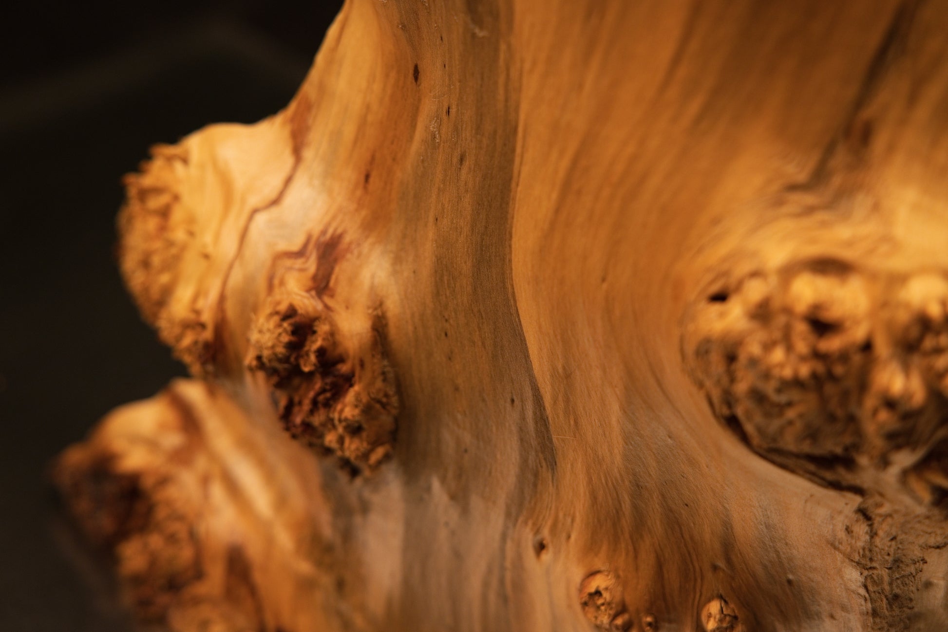 Flat reverse view of a digital twin ready structural timber element revealing smooth polished surfaces and a dark organic crack.   