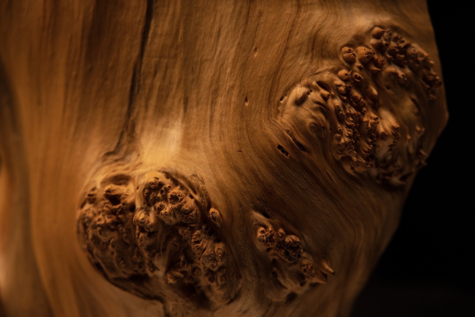 Detailed macro of sweeping vertical grain lines on a Relic-Grade wooden art piece emphasizing true natural patina and organic mass.   