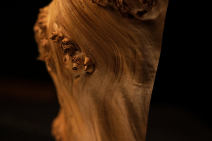 Close focus on a heavily textured burl cluster near the base of a completely resin-free and fully stabilized botanical wood element.   