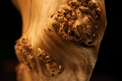 Macro focus on scattered dark birdseye grain spots on the smooth surface of a climate-proof B2B architectural centerpiece block.   