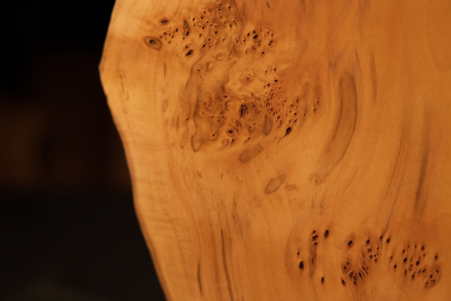 Close detail of deeply textured chaotic burl clusters on a biophilic structural wood block showing true patina.   
