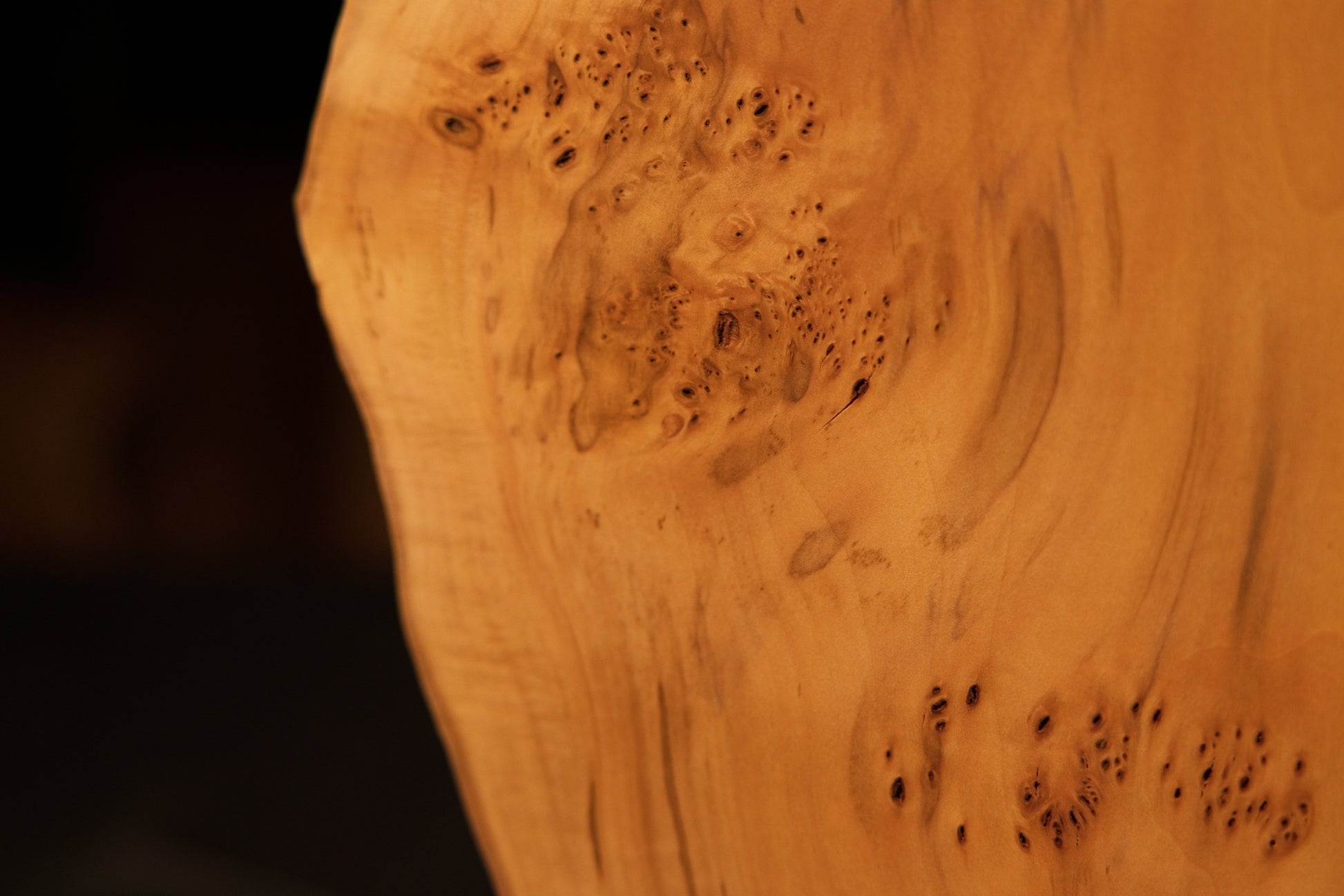 Close detail of deeply textured chaotic burl clusters on a biophilic structural wood block showing true patina.   