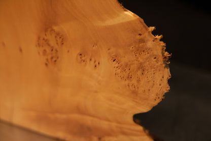 Extreme close-up of unreplicable biological anomalies and deep organic textures on a museum-grade botanical architectural slab.   