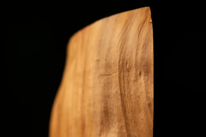 Macro detail of the lower edge on an authentic architectural salvage beam highlighting a dark burl cluster and tight organic grain.   