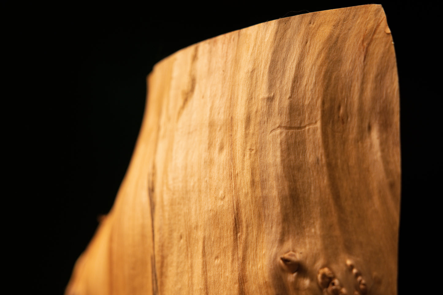 Close-up of a smooth polished organic knot on a biophilic commercial centerpiece highlighting century-old biological reactions.   