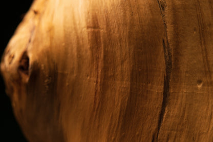 Macro photography of tight chaotic burl clusters and authentic entomological marks embedded in a biophilic structural wood face.   