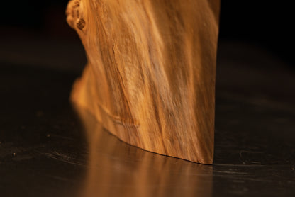 Straight frontal perspective of a museum-grade biophilic timber element revealing straight vertical grain and dense burl sides.   