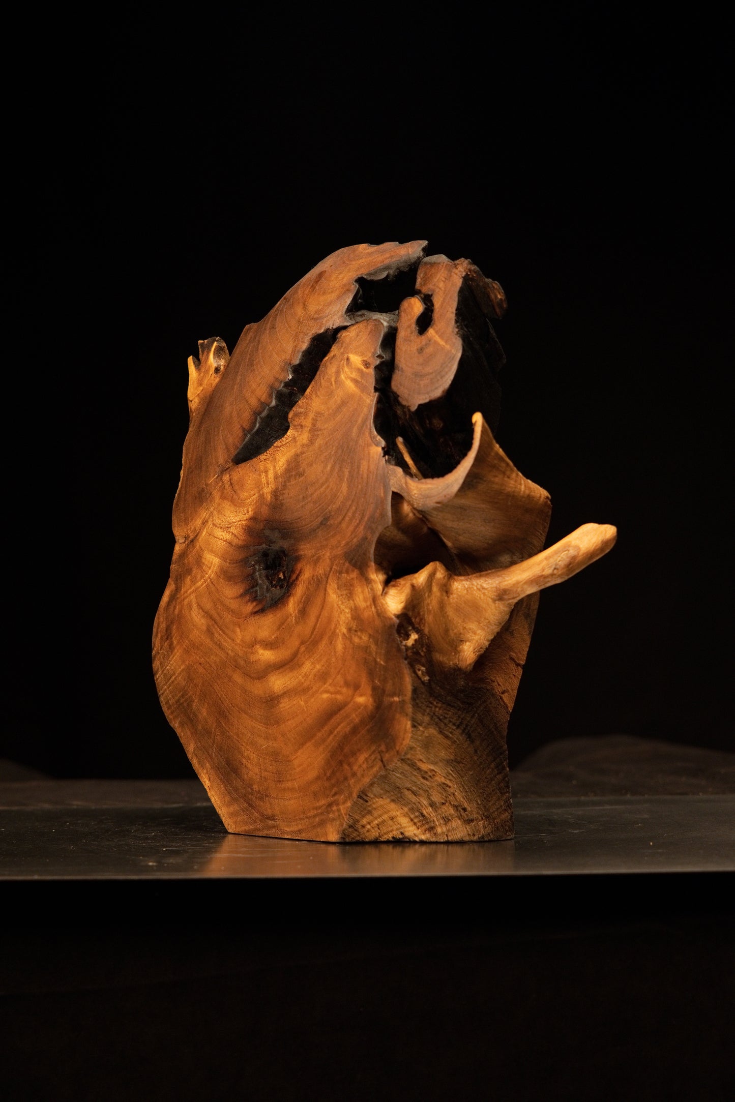 Close-up photography of a tiny, fully stabilized natural check within the dark carbonized top border of the sculpture.   
