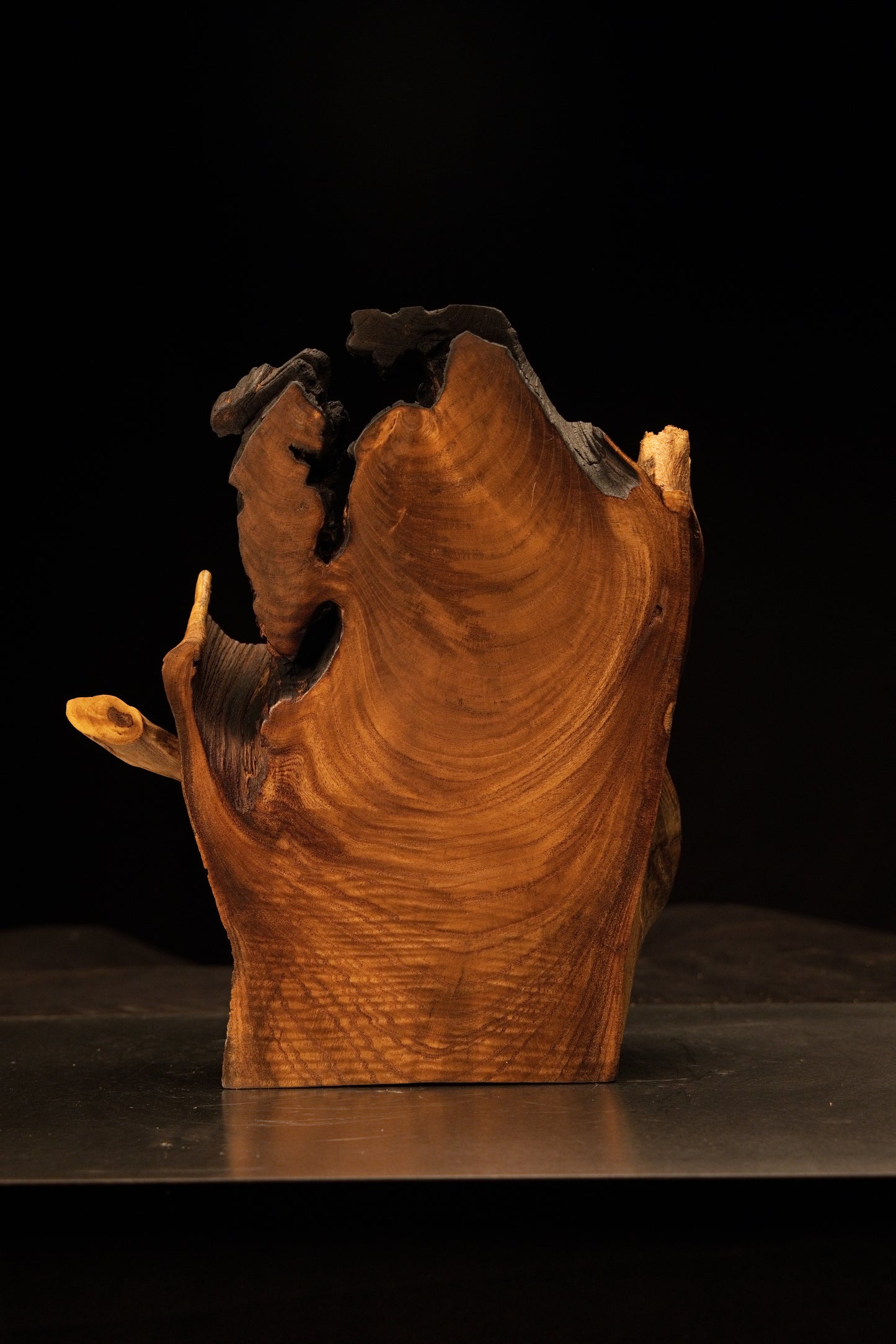 Focus on the rounded tip of a solid wooden peg stretching out from the deep interior shadow of the organic block.   