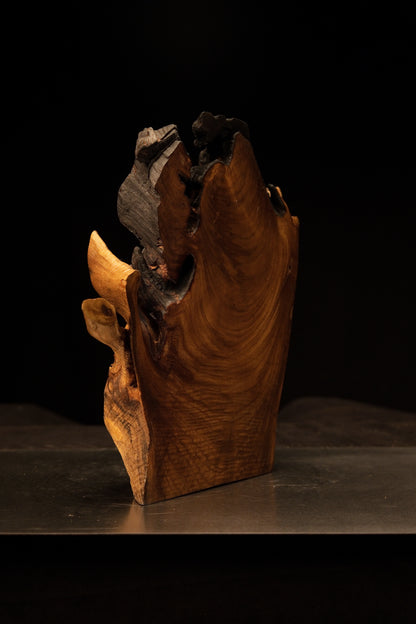 Macro view tracking the visual shift from polished face grain to a richly textured end-grain corner on the gallery log.   