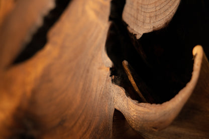 Macro view emphasizing a smooth protruding branch tip right next to the dark carbonized upper edge of the sculpture.   