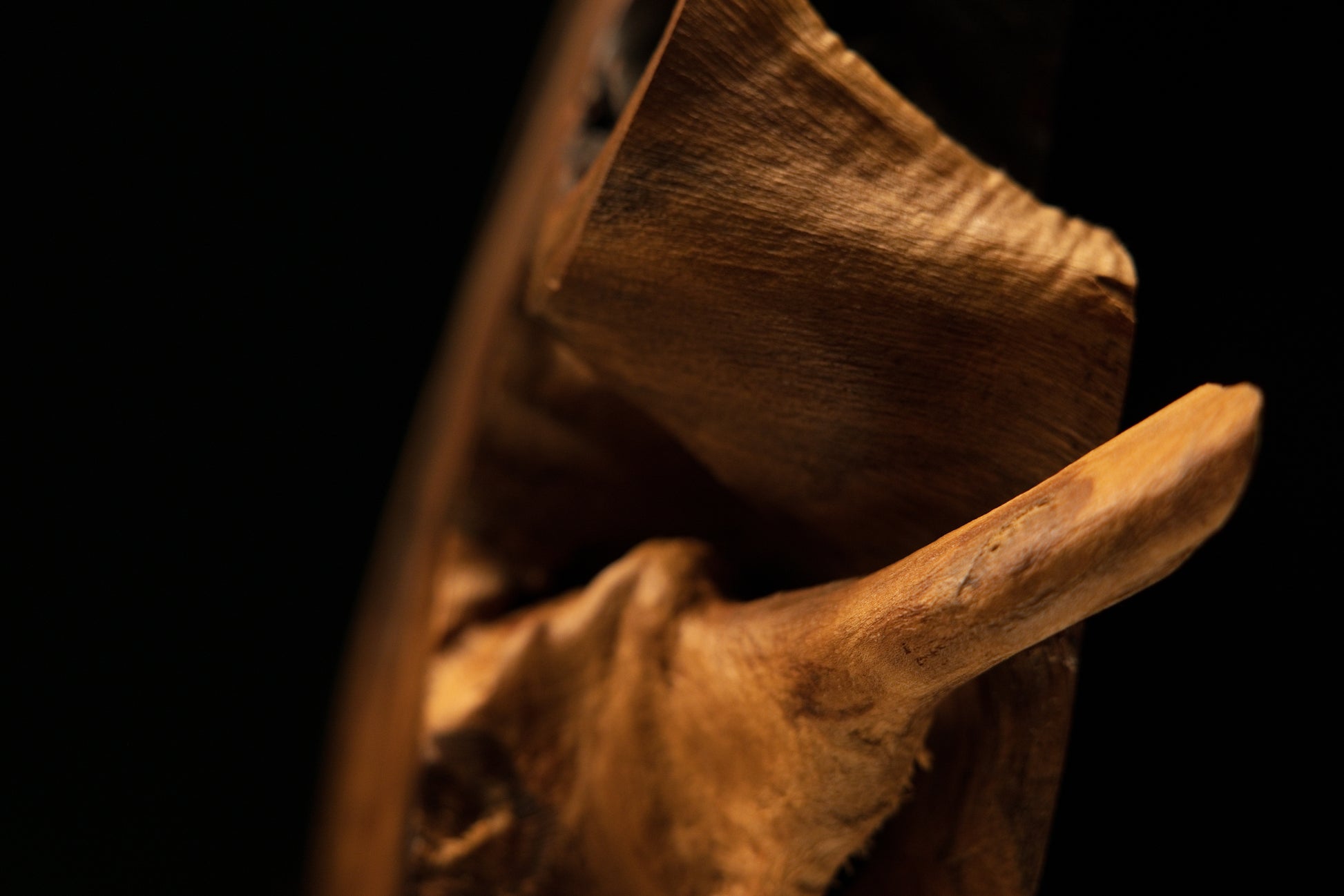 Extreme macro highlighting sweeping golden grain lines with vivid natural light reflection on an untreated art sculpture.   