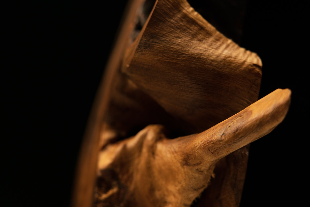 The Reminiscence of Deep-Time Myth and Millisecond Execution