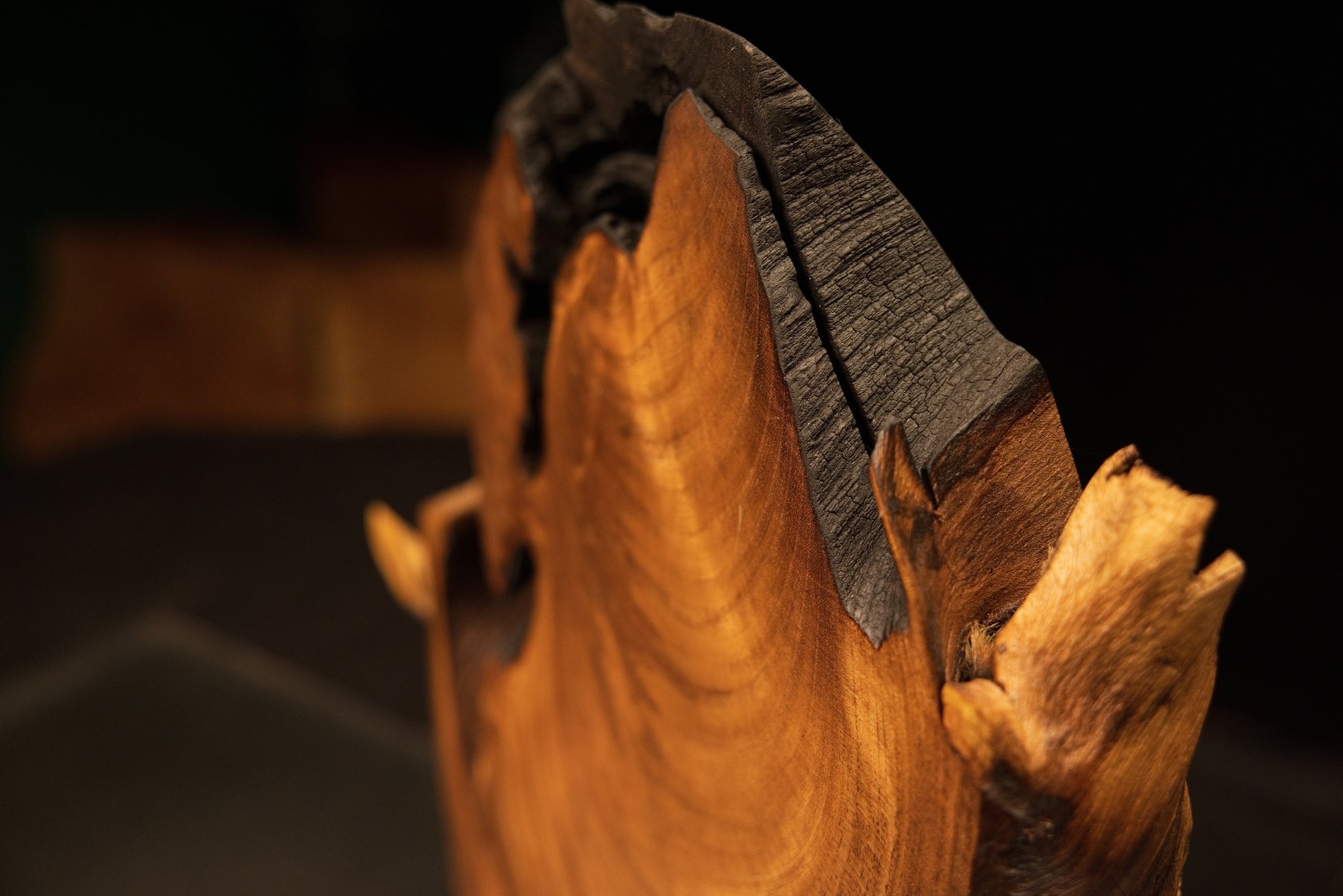 Detailed close-up of a thermally secured structural split running along the dark carbonized top section of the timber.   