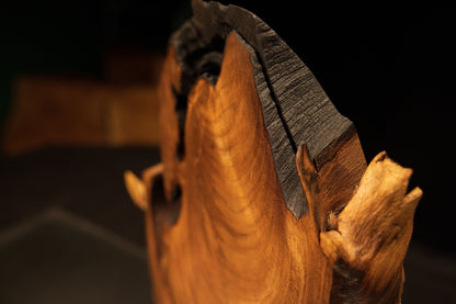 Detailed close-up of a thermally secured structural split running along the dark carbonized top section of the timber.   