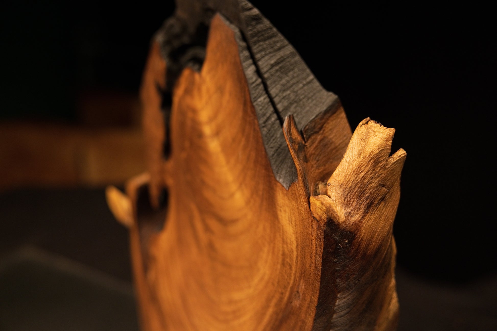 Macro study of a wooden branch anchor point nestled inside a resin-free interior cavity showcasing organic architecture.   