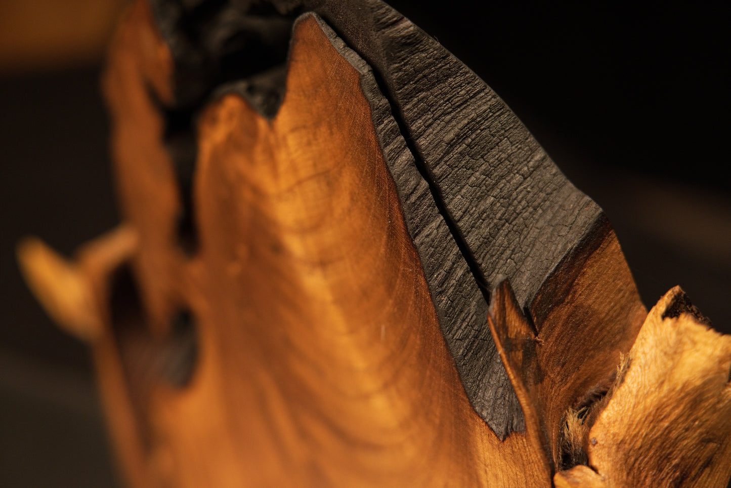 Rear detail of a museum-quality wooden artifact contrasting bright flowing grain patterns against a dark carbonized rim.   