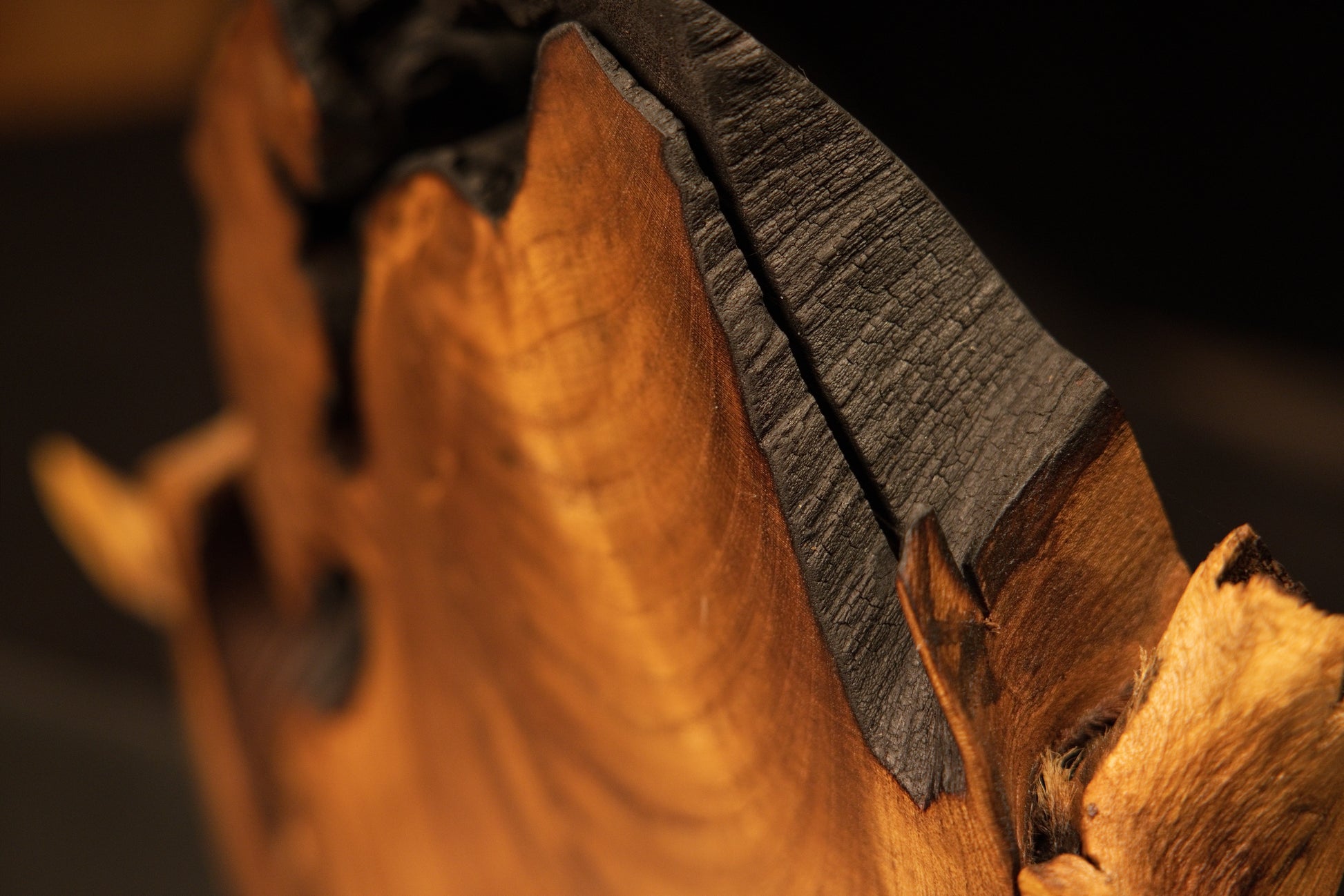 Rear detail of a museum-quality wooden artifact contrasting bright flowing grain patterns against a dark carbonized rim.   