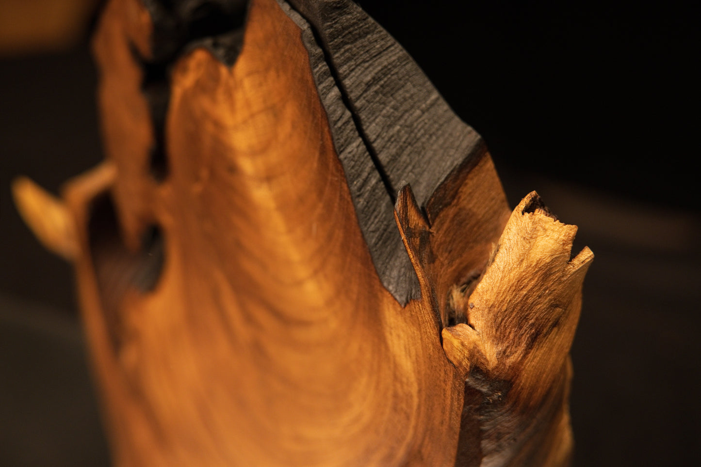 Close-up tracking a round woody branch extension emerging directly from a deep structural recess in the art piece.   