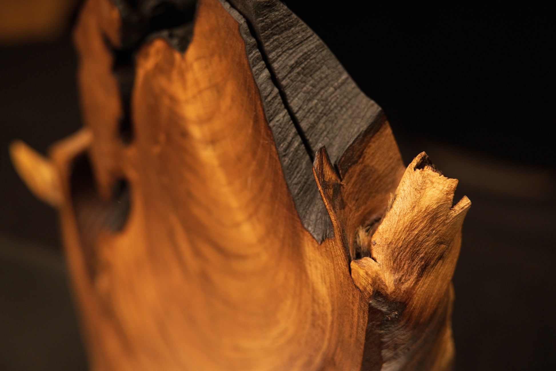 Close-up tracking a round woody branch extension emerging directly from a deep structural recess in the art piece.   
