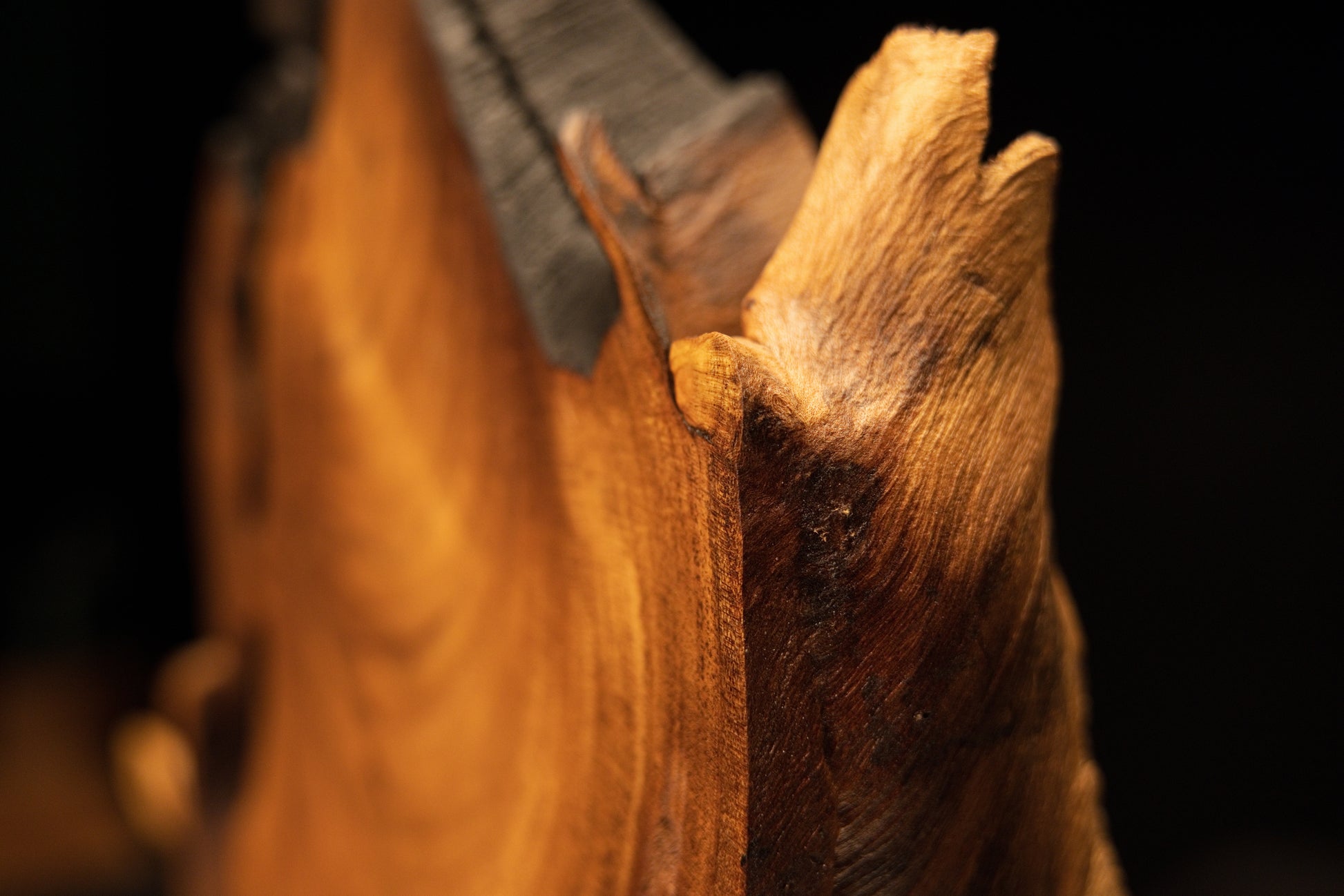 Close perspective peering into a deep carved wood pocket, showcasing raw, unreplicable internal wall formations.   