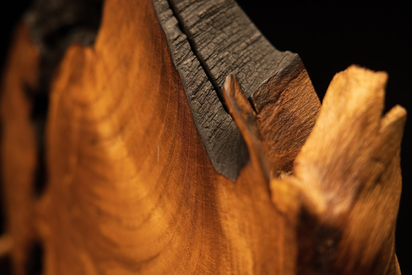 Straight-on framing of a luxury gallery wood installation exhibiting wild natural hollows and authentic vintage patina.   