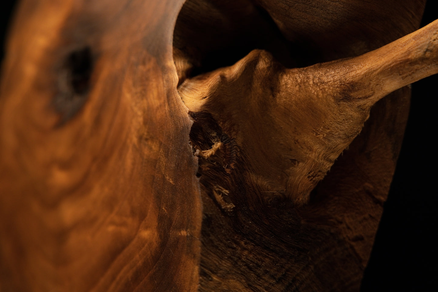 Macro shot of jagged dark-stained cleft boundaries contrasting sharply against polished golden-brown surface grain.   