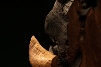 Macro angle showing smooth golden wood fibers gracefully wrapping around a deep internal shadow pocket in the block.   