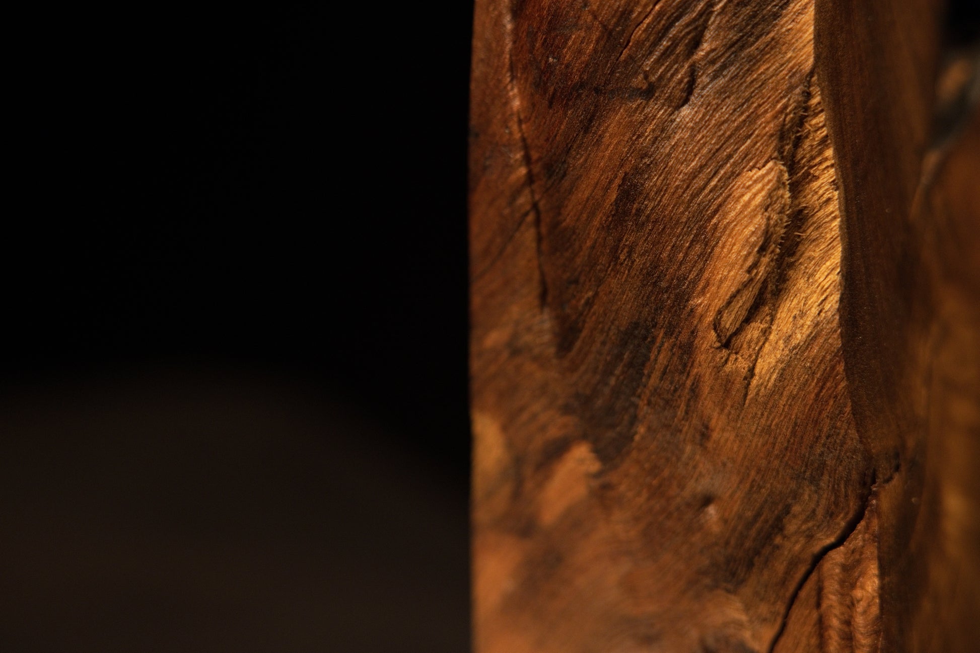 Detailed shot of the sharp visual shift from warm honey-toned grain to a darkened weathered upper border element.   