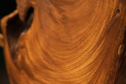 Close-up on a shadowy natural hollow housing a raw wooden extension inside an untreated designer wood art centerpiece.   