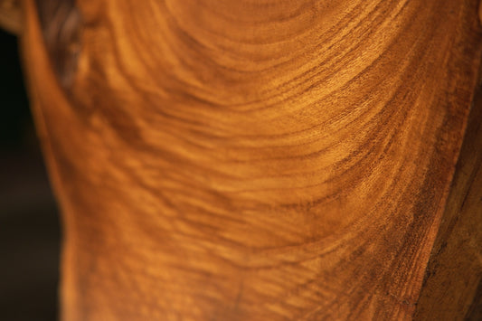 Dynamic front angle of an heirloom oak sculpture featuring warm amber grain, recessed interior cavities, and a wooden peg.   