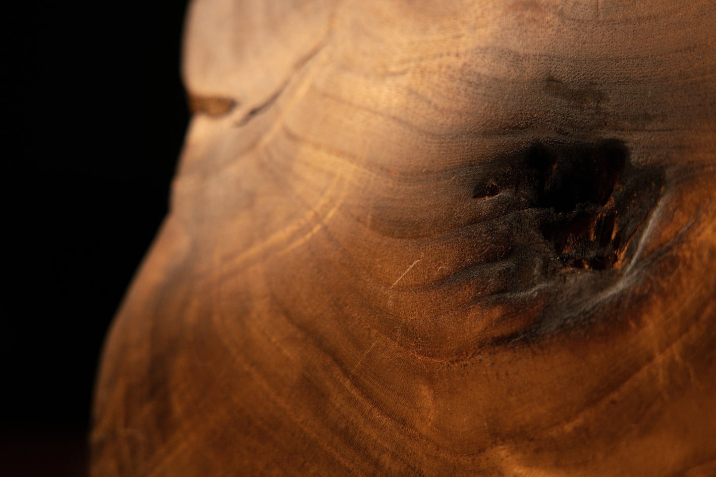 Macro detail charting the clean color evolution from rolling golden grain lines to a dark oxidized perimeter zone.   