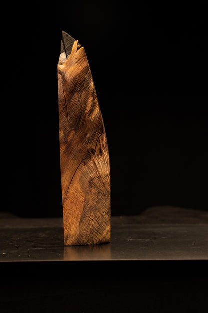 Close-up tracking the sweeping golden grain lines right along the flat foundation edge of the luxury wooden monolith.   