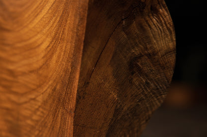 Macro look inside an unsealed wooden cleft showing a protruding branch stub and rugged internal carving details.   