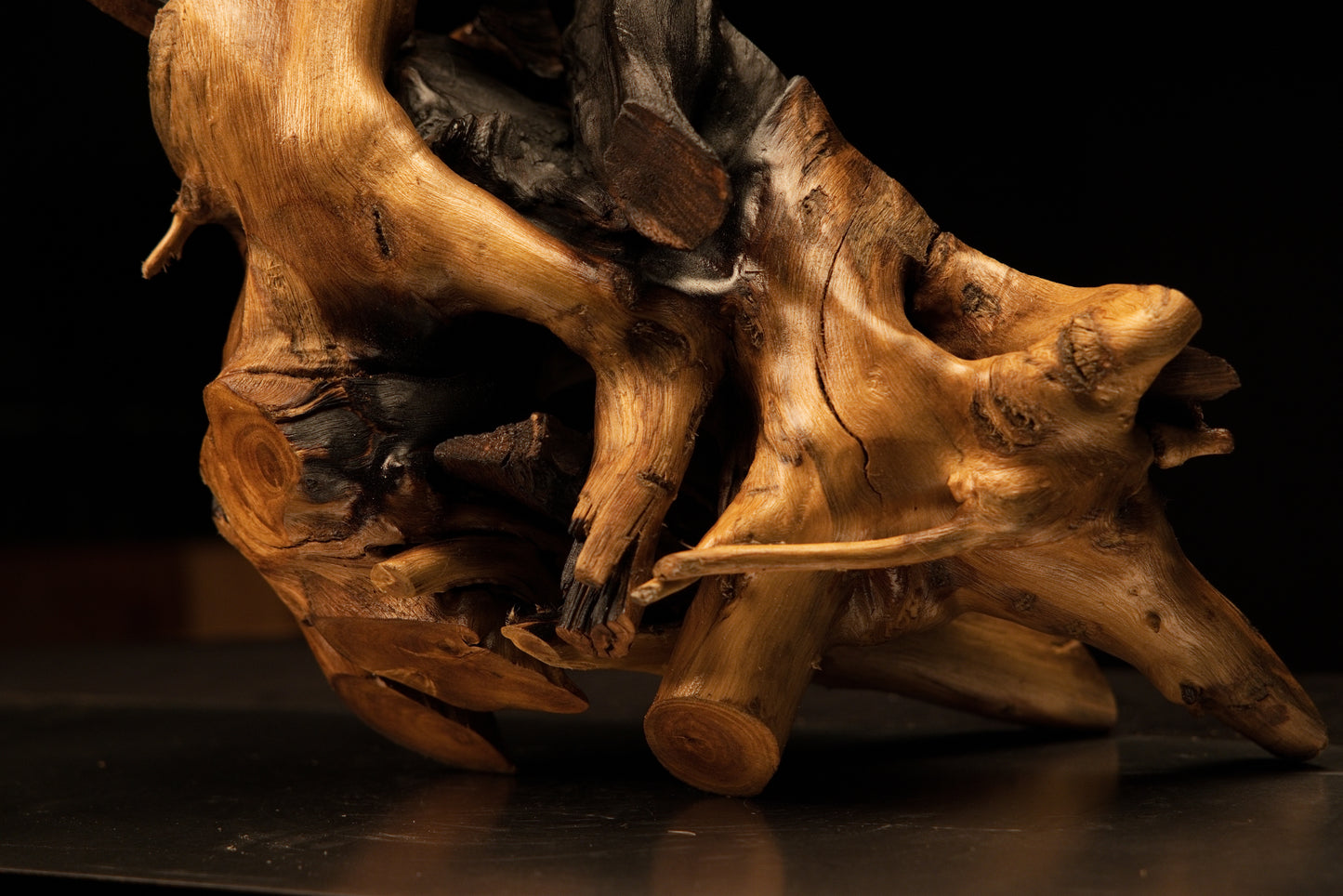 Front view of a chaotic botanical root architecture displaying deep organic voids and a floor-heating stable golden surface.   