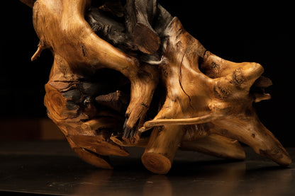Front view of a chaotic botanical root architecture displaying deep organic voids and a floor-heating stable golden surface.   