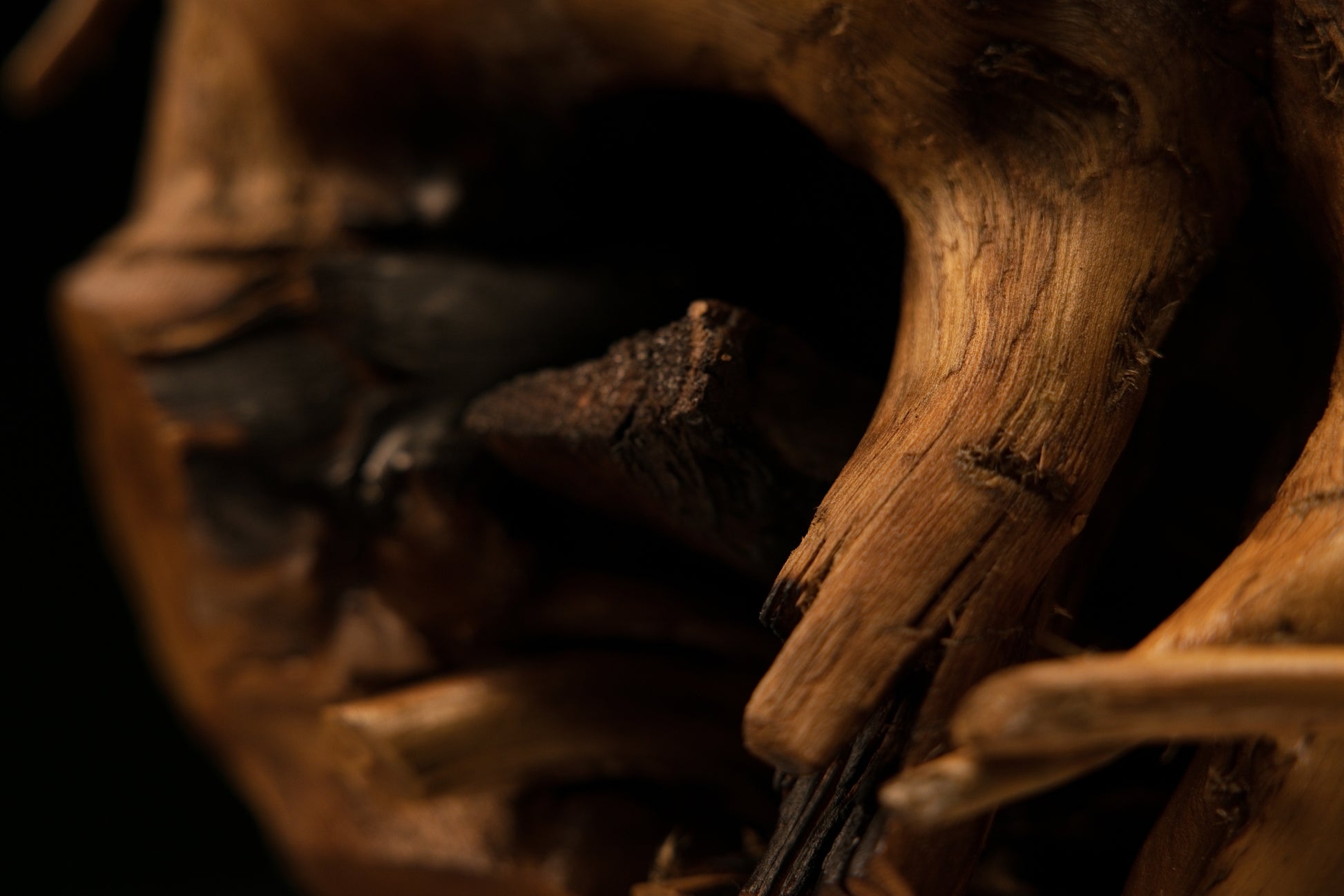 Extreme close-up of a broken structural branch inside a deep dark cavity of an i biophilic wood centerpiece.   