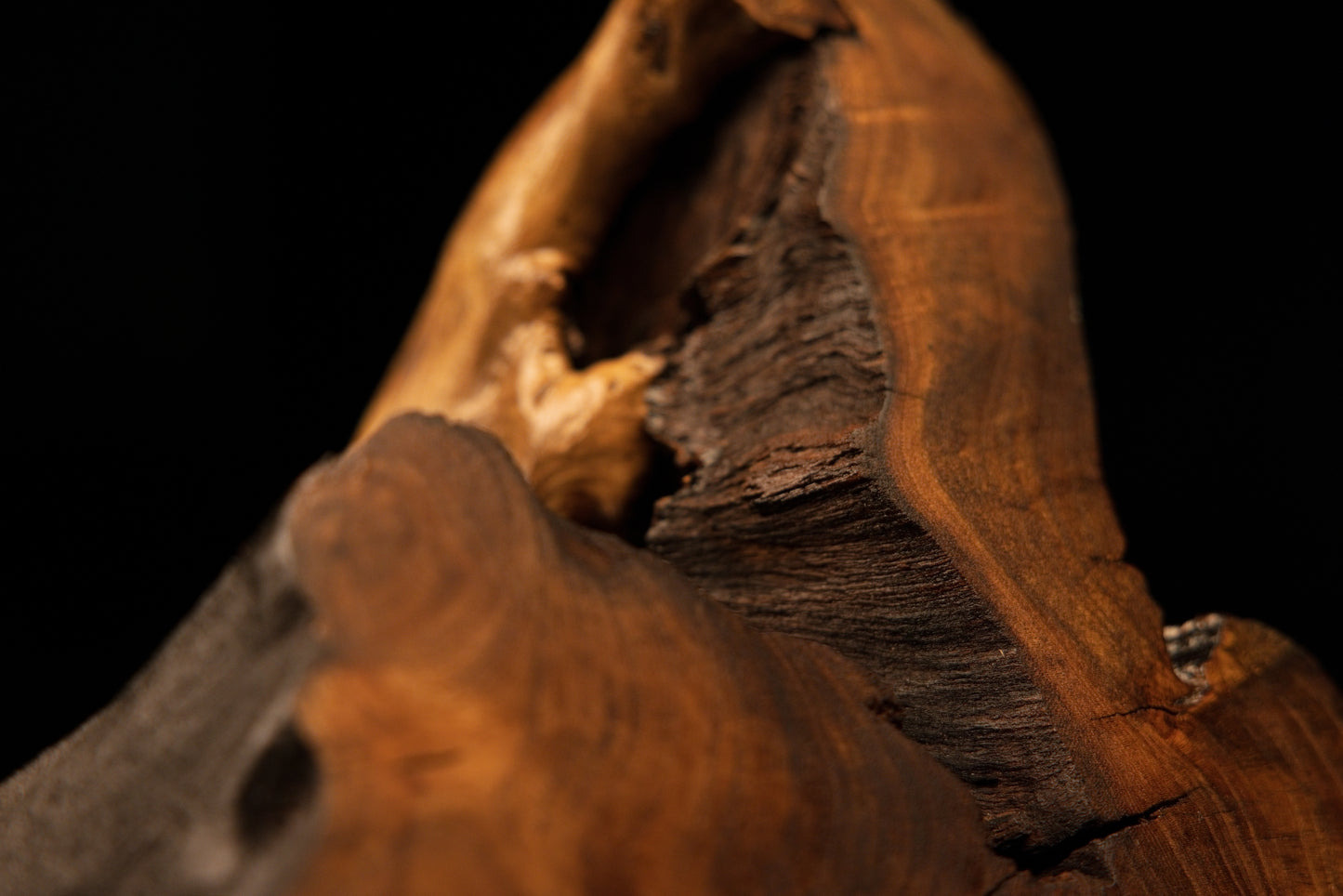 Detailed view into a deep structural crevice of a polished architectural monolith revealing dark authentic organic textures.   
