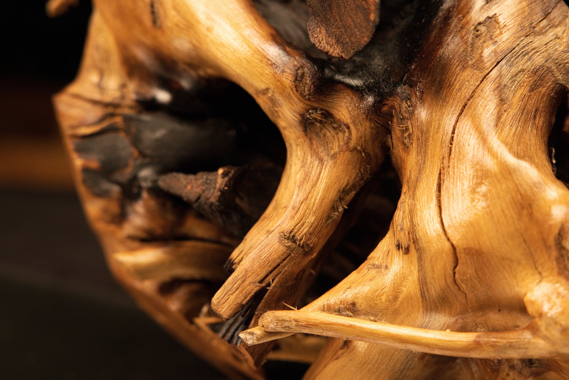 Detailed focus on a fractured branch stub and surrounding chaotic organic geometry in a fully stabilized structural monolith.   