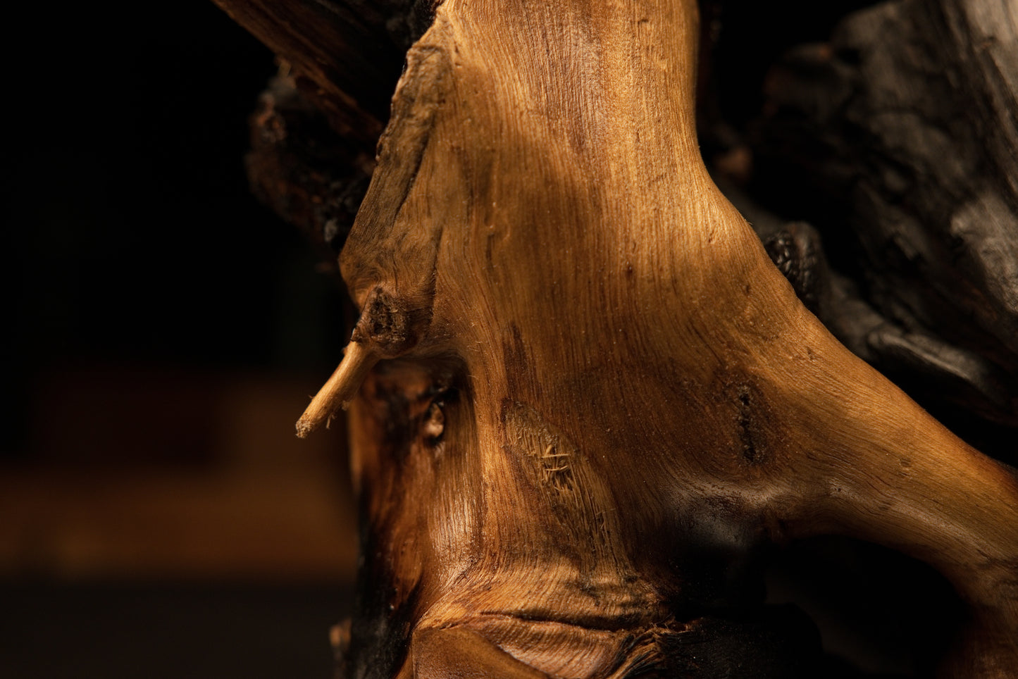 Extreme close-up of sweeping vertical grain converging around a small dark knot on a wood piece.   