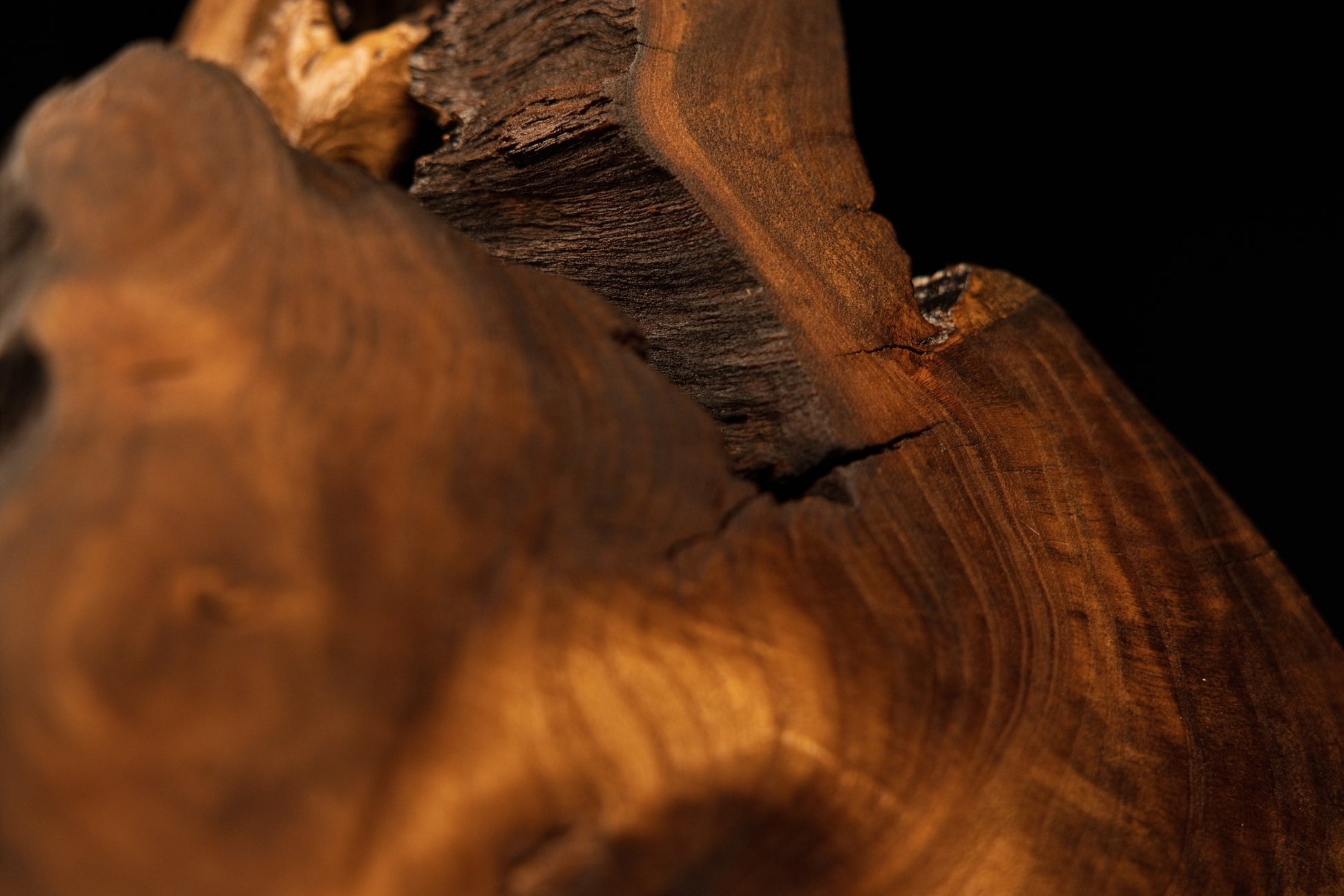 Macro perspective of deeply textured dark organic wood intersecting with smooth polished grain on a biophilic interior root.   
