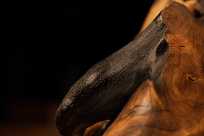 Extreme macro of a dark charred inner wood surface displaying deep original patina on a perfectly stabilized structural piece.   
