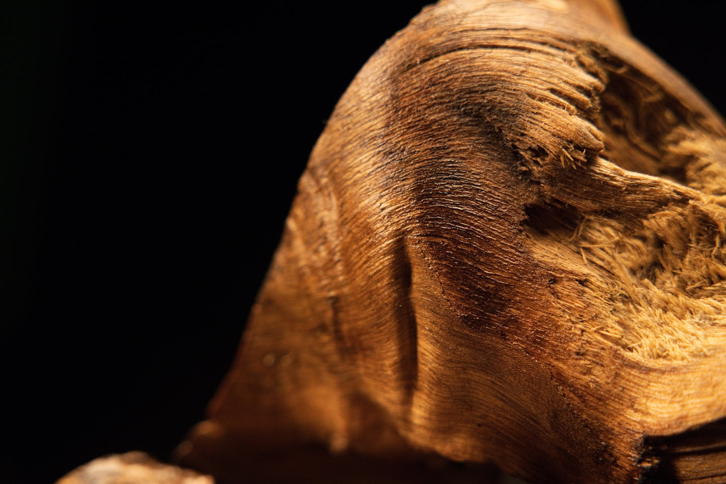 Extreme close-up of flowing wavy wood fibers curving around an organic void on a completely resin-free architectural centerpiece.   