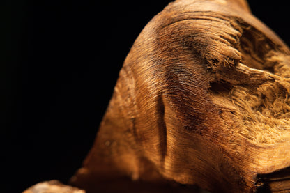 Extreme close-up of flowing wavy wood fibers curving around an organic void on a completely resin-free architectural centerpiece.   