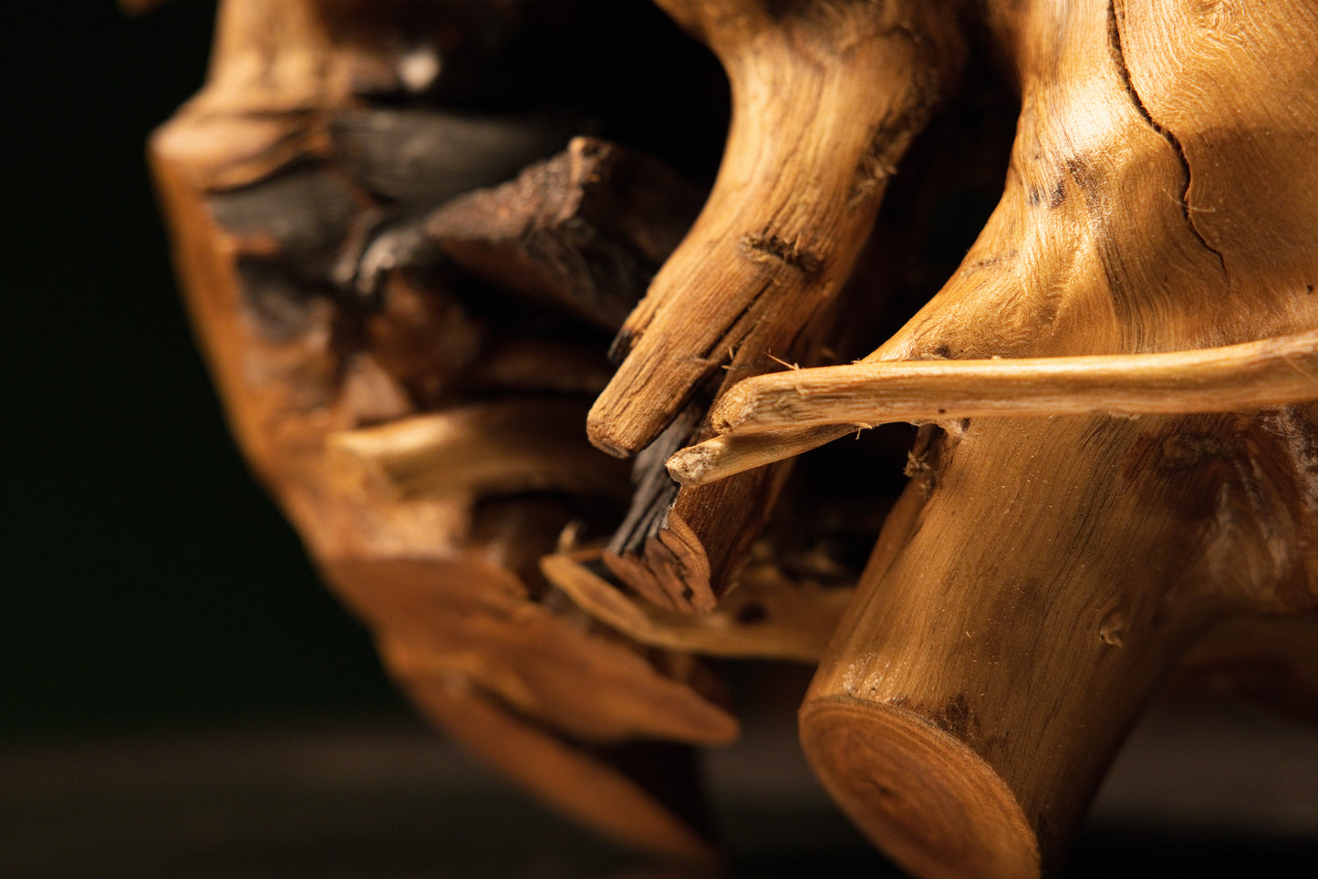 Extreme macro of splintered wood fibers and raw organic textures near a dark cavity in a completely stabilized heritage piece.   