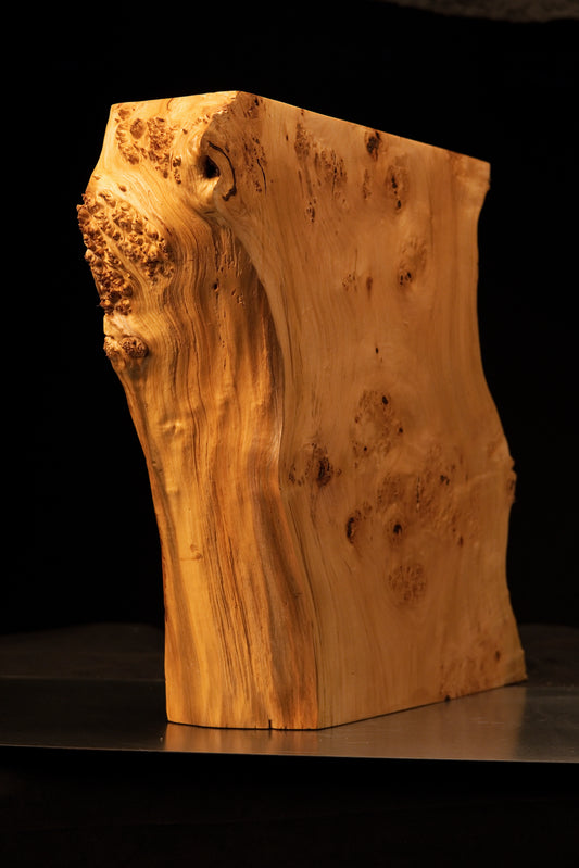 Frontal view of a bright golden wooden art block showcasing a level precision-cut baseline alongside dense burl clusters.   