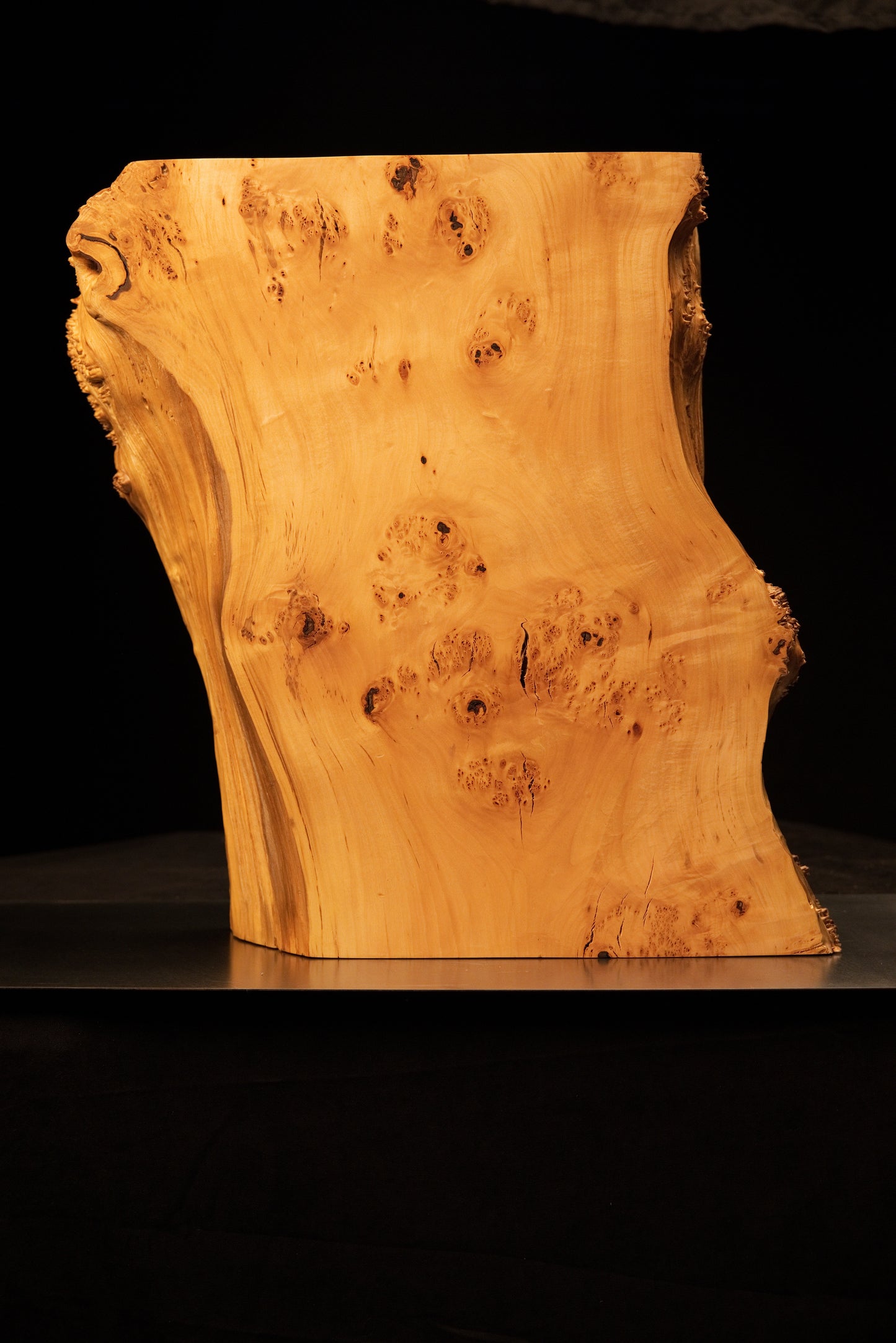 Diagonal perspective of a temperature-stable architectural timber block revealing smooth vertical grain and organic burl edges.   