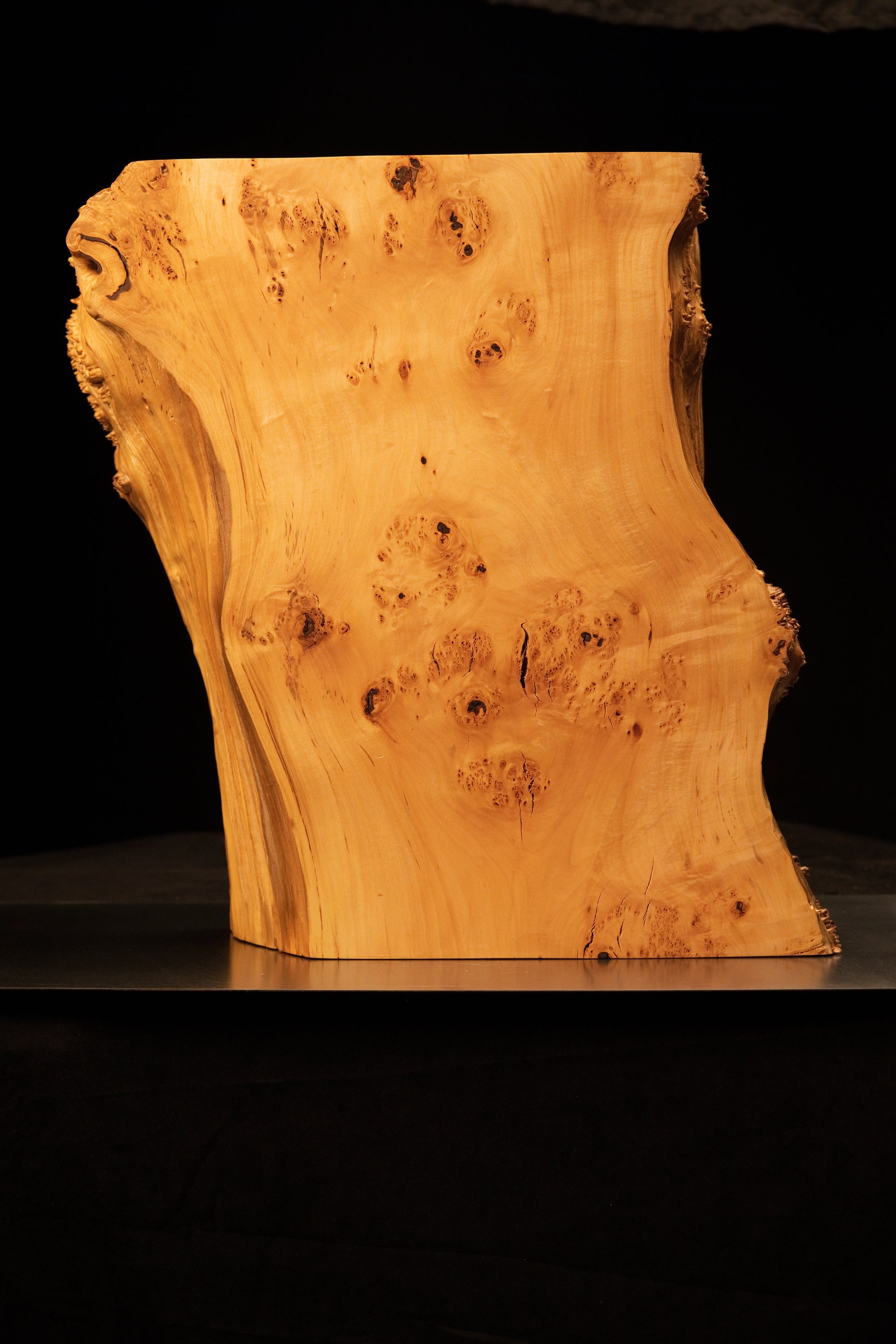 Diagonal perspective of a temperature-stable architectural timber block revealing smooth vertical grain and organic burl edges.   
