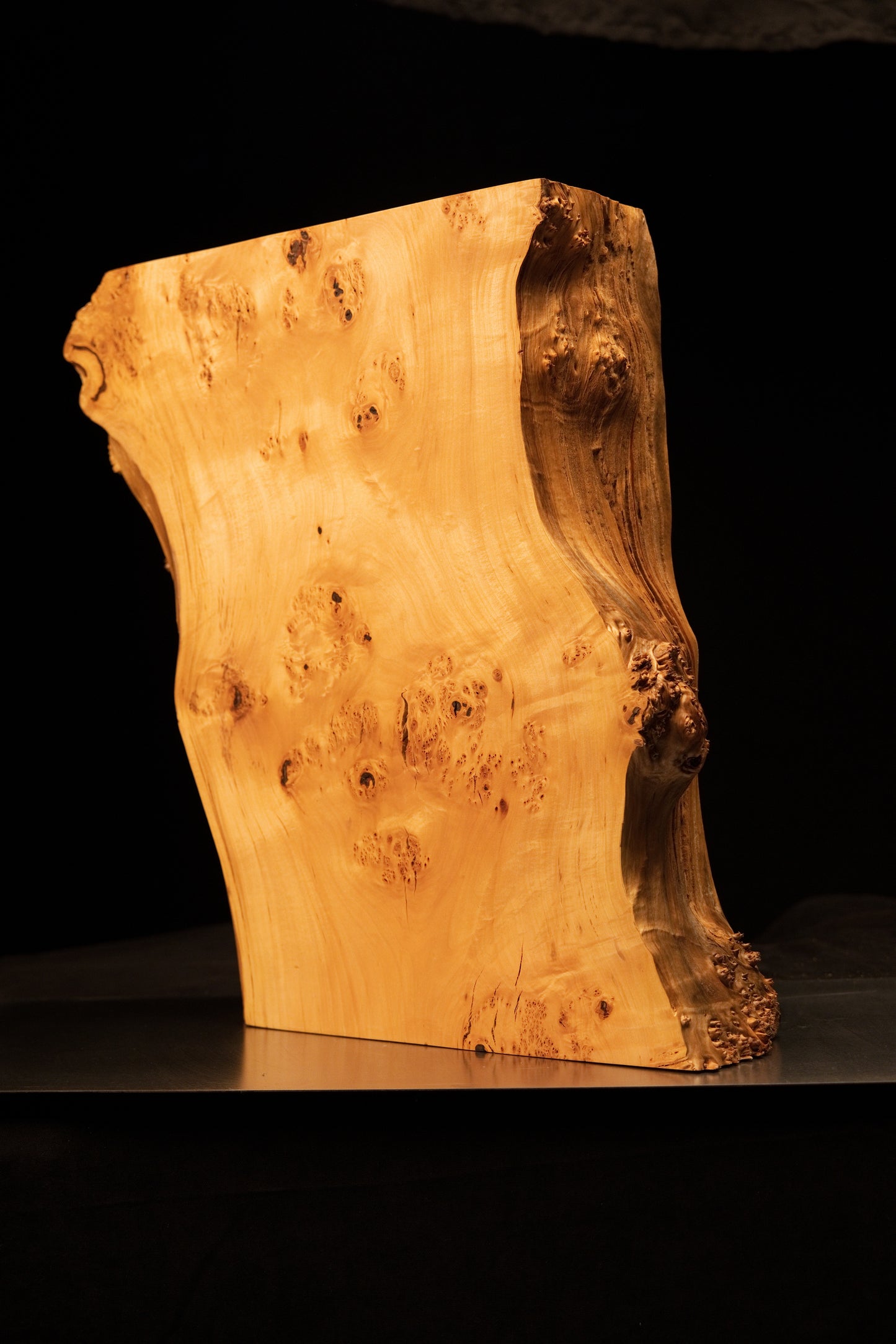 Lateral profile view of a luxury biophilic wood sculpture highlighting a flat precision-cut back and wavy botanical face.   