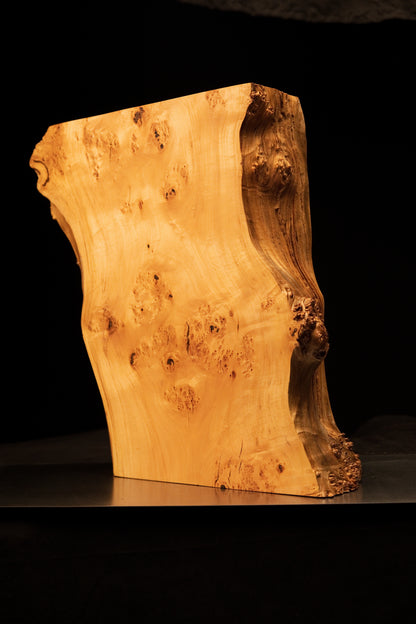 Lateral profile view of a luxury biophilic wood sculpture highlighting a flat precision-cut back and wavy botanical face.   